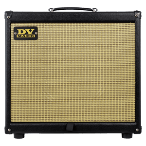 DV Mark Guitar Amplifier EGC RAW DAWG 60 S