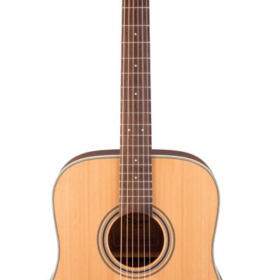 Takamine G20 Series Dreadnought Acoustic Guitar