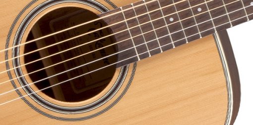 Takamine G20 Series Dreadnought Acoustic Guitar