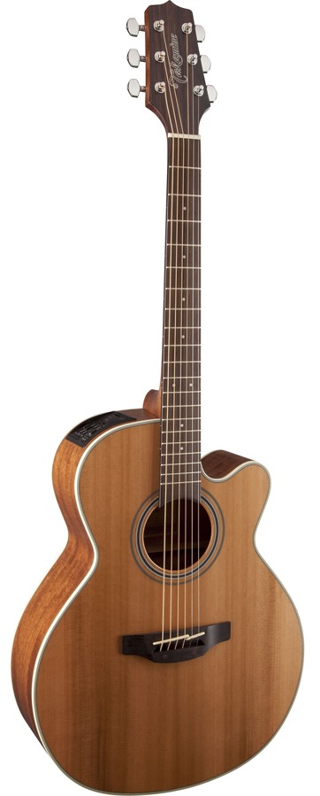 Takamine G20 Series NEX AC/EL Guitar with Cutaway