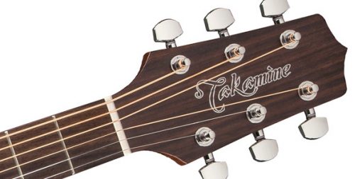 Takamine G20 Series NEX AC/EL Guitar with Cutaway