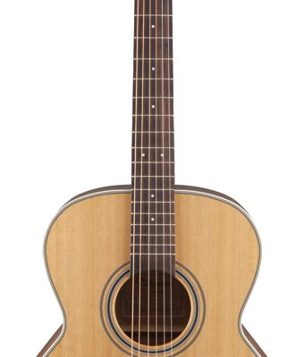 Takamine G20 Series NEX Acoustic Guitar