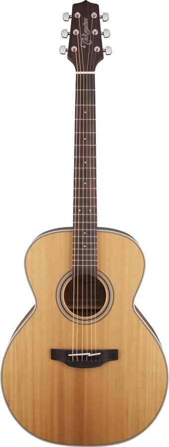 Takamine G20 Series NEX Acoustic Guitar