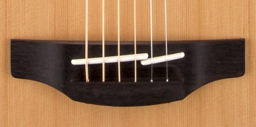 Takamine G20 Series NEX Acoustic Guitar1