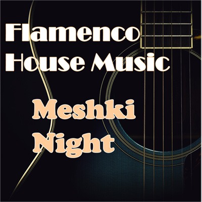 Flamenco House Music | Meshki Night