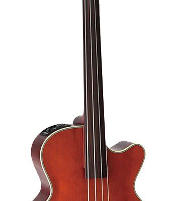 Takamine Legacy Series Upright AC EL Fretless Bass with Cutaway