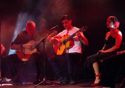 Spanish Guitarist Sydney | Wedding Guitarist Sydney | Mike Rizk