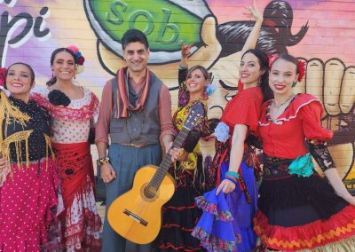 Spanish Guitarist | Wedding Guitarist | Flamenco | Sydney | Mike Rizk