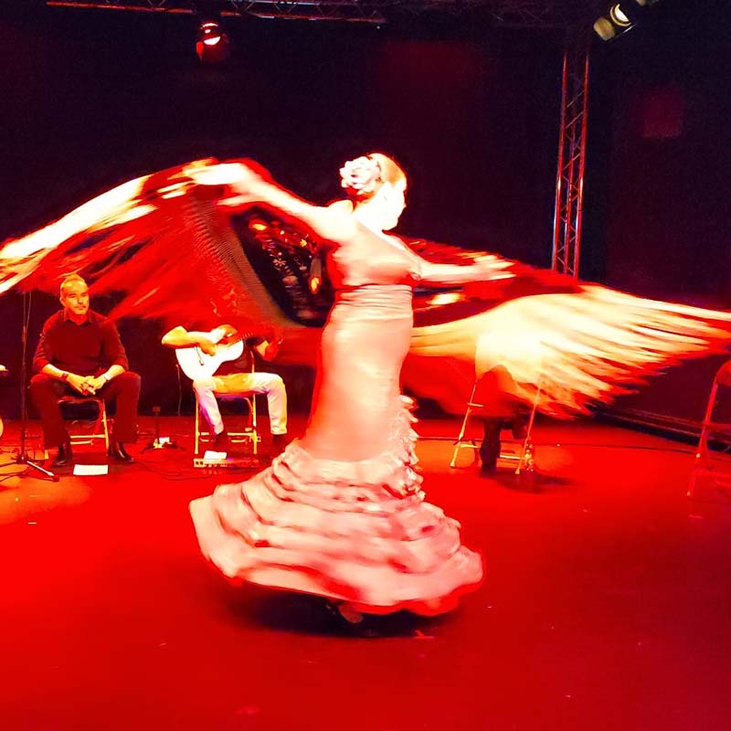 Live Bands Sydney | Live Music Sydney | Flamenco Electro | Flamenco House Music Live Bands Sydney | Live Music Sydney | Flamenco Electro | Flamenco House Music