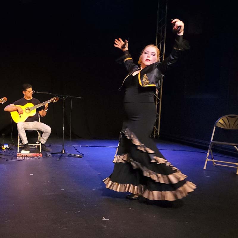 Live Bands Sydney | Live Music Sydney | Flamenco Electro Live Bands Sydney | Live Music Sydney | Flamenco Electro