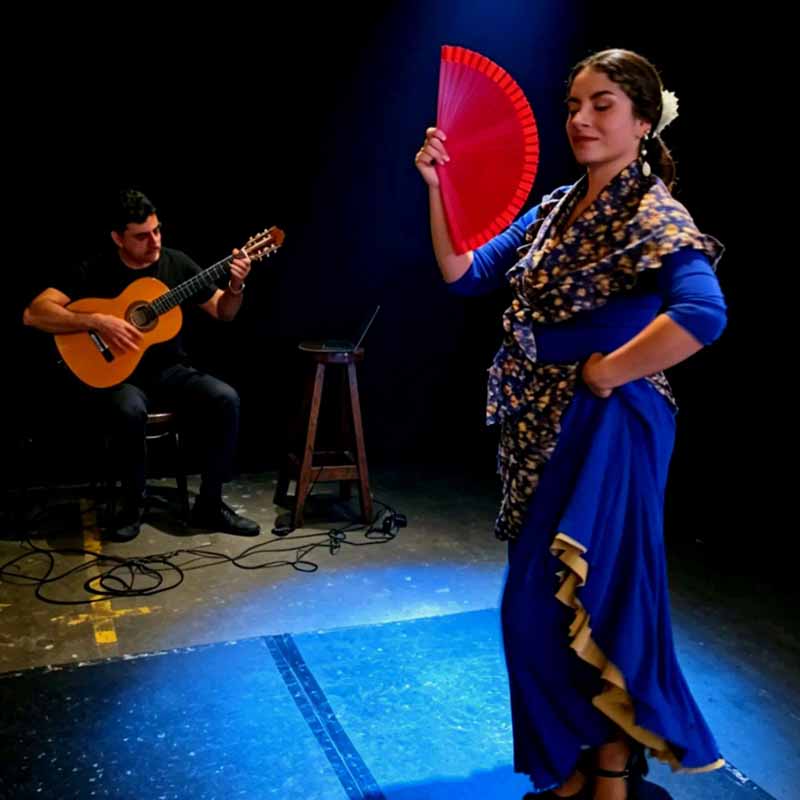 Flamenco show Sydney